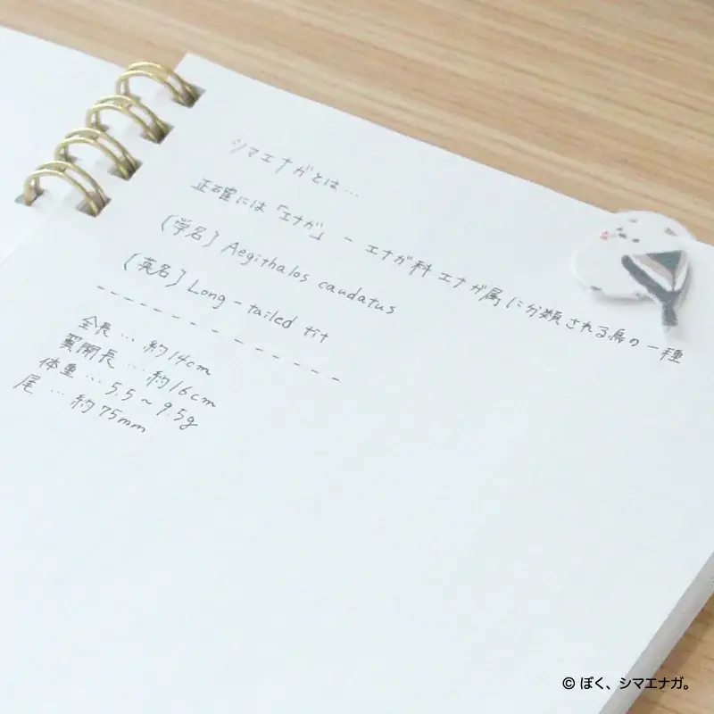 【新商品】「ぼく、シマエナガ。ステーショナリー 第三弾 〜まんまるシマエナガ〜」販売記念キャンペーンを実施します 画像 11