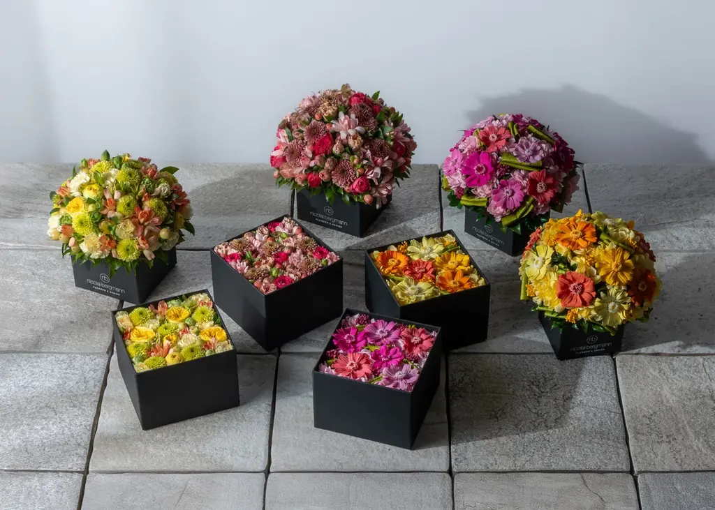 ニコライ バーグマン春コレ2026、ジニア彩る限定