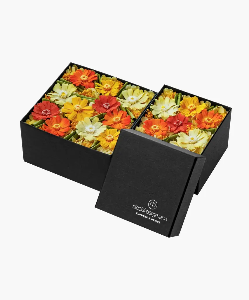 美しい冬から春への移り変わりを色鮮やかに表現した、ニコライ バーグマンのスプリングコレクション2026 画像 3