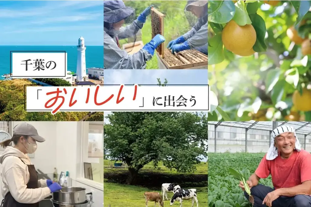 優待利回り153.2%！株主優待制度の一部変更に関するお知らせ 画像 4