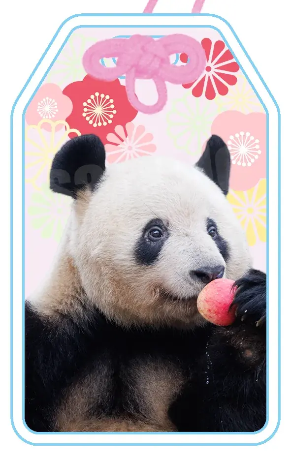 【2026年初開催】4日間限定のパンダ祭典！「大パンダ展 ～シャンシャンと祝う春節祭～」開催決定!! 画像 4