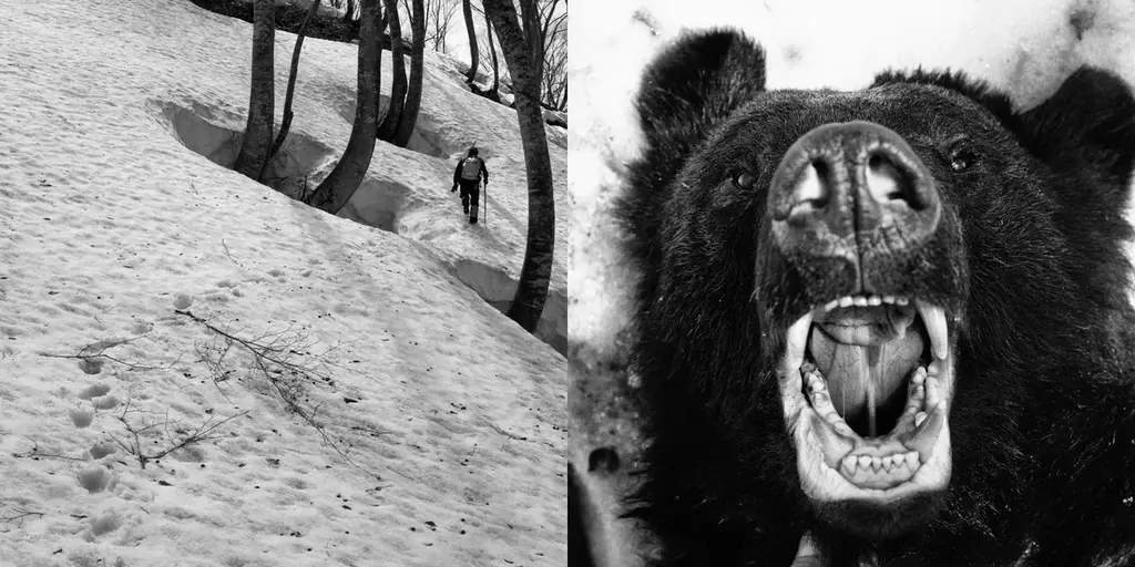 ドキュメンタリーの可能性を広げる上映イベント「ドキュ・メメント2026」1/24（土）25（日）品川宿にて開催決定！ 画像 14