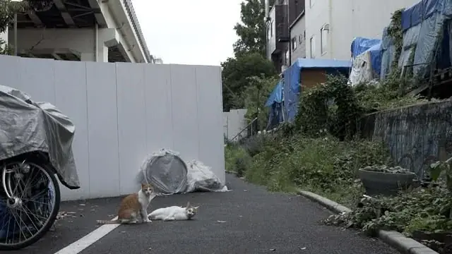 ドキュメンタリーの可能性を広げる上映イベント「ドキュ・メメント2026」1/24（土）25（日）品川宿にて開催決定！ 画像 4