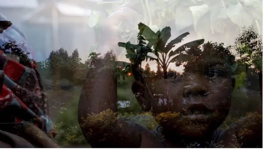 ドキュメンタリーの可能性を広げる上映イベント「ドキュ・メメント2026」1/24（土）25（日）品川宿にて開催決定！ 画像 6