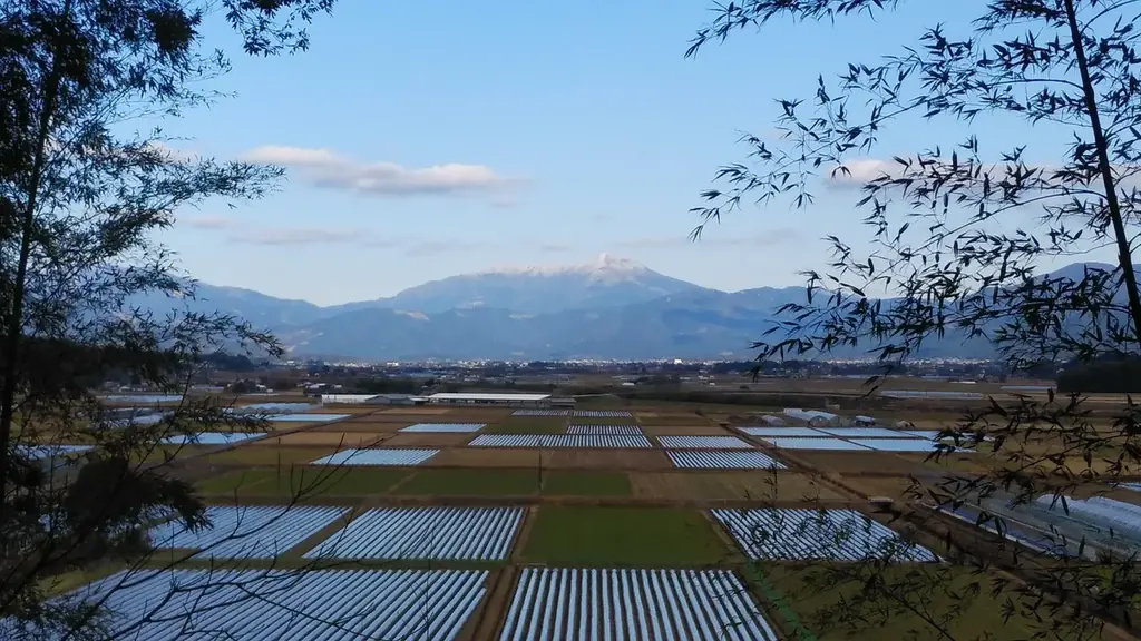 新宿駅の「ルミネアグリマルシェ」で、熊本県錦町の特産品を期間限定販売。1月22日～25日の4日間、『錦町みらいマルシェ』を出店。 画像 11
