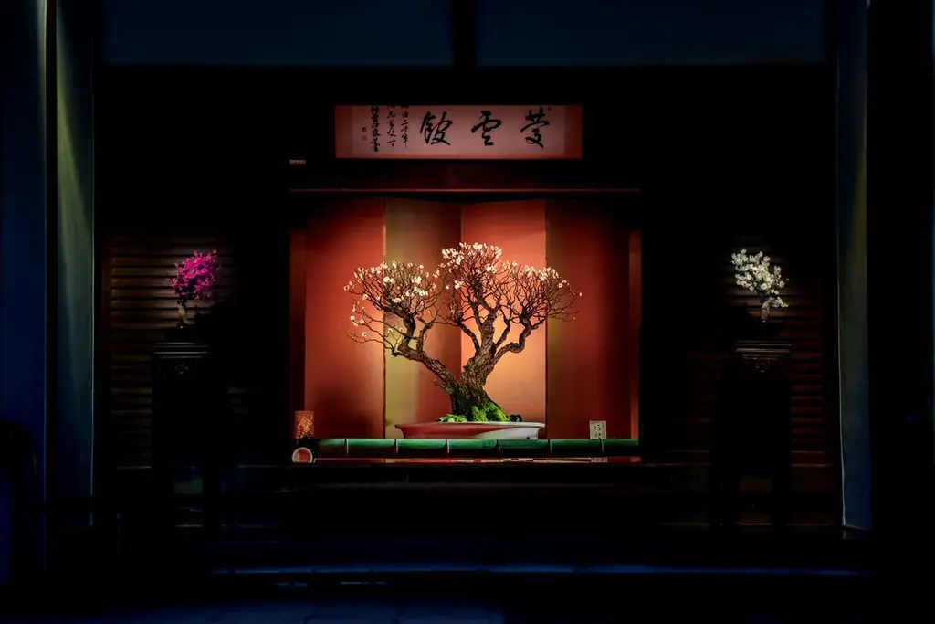 第75回長浜盆梅展