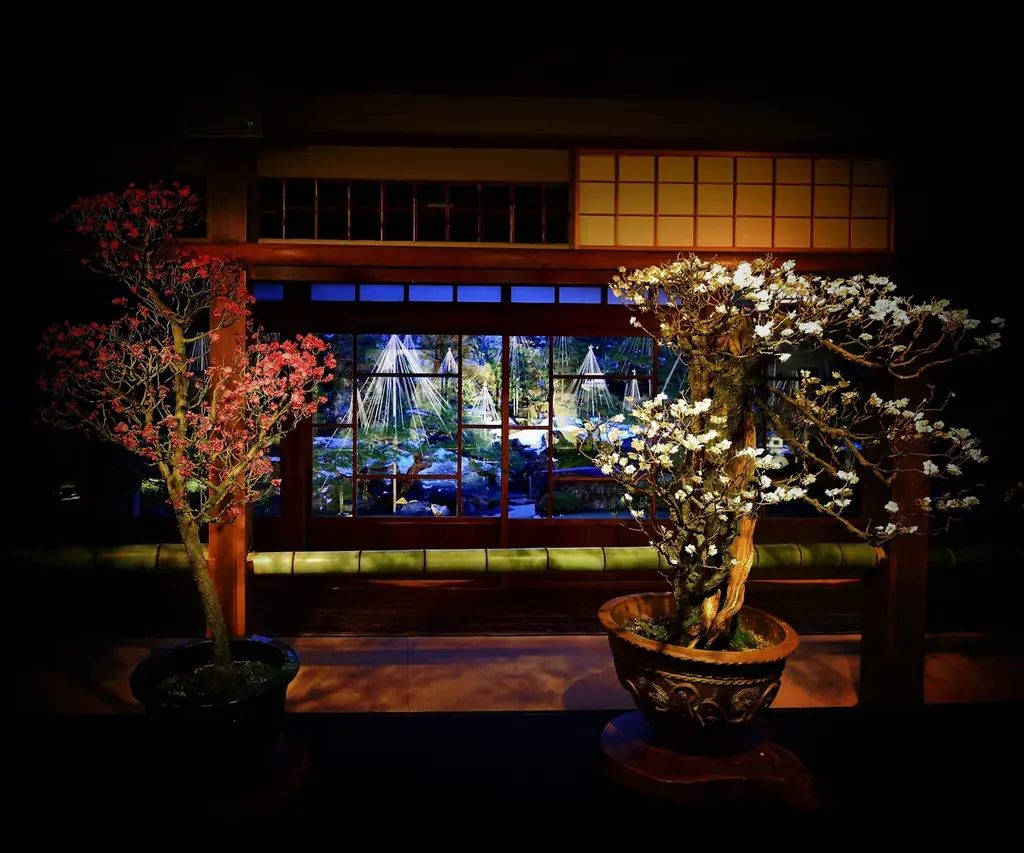 新春の風物詩・日本最大級の梅の盆栽展「第75回長浜盆梅展」 開催 画像 4