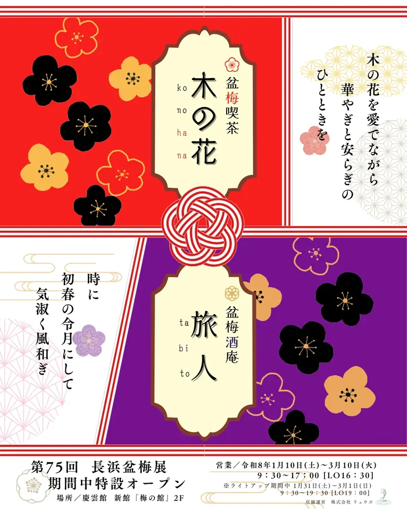 新春の風物詩・日本最大級の梅の盆栽展「第75回長浜盆梅展」 開催 画像 5