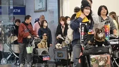 【屋内・入場無料】譲渡会×防災×体験で“共生の街づくり”へ「わんにゃんスマイルフェス2026・春 in 横浜」4/19（日）開催 画像 2