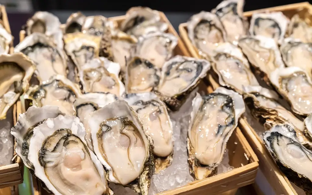 【滋賀 湖南】彦根で大反響を呼んだ“旅する牡蠣小屋 カキダオレ”続いては湖南に”20日間だけ”限定登場！ 画像 2