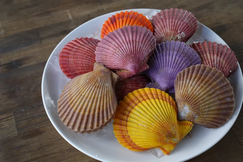 【滋賀 湖南】彦根で大反響を呼んだ“旅する牡蠣小屋 カキダオレ”続いては湖南に”20日間だけ”限定登場！ 画像 3