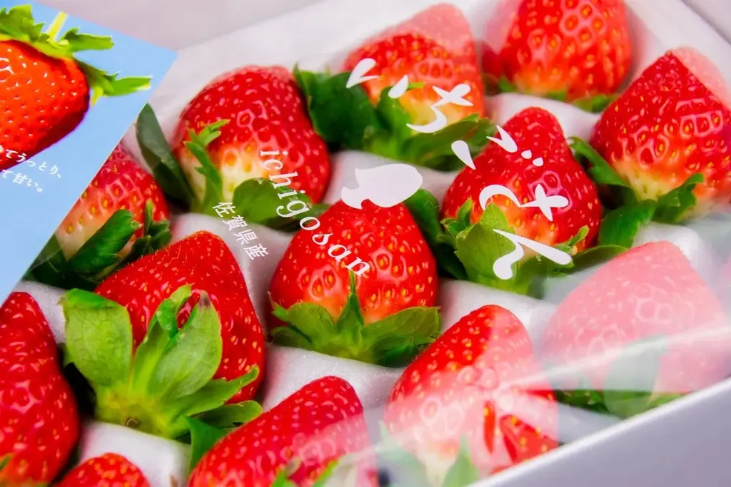 2026 新春唐津！友だち登録キャンペーンを開催します。 画像 7