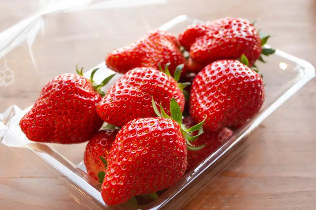 【山形学院高×おふろcafé yusa】 “高校生の青春”が商品化。県産フルーツを使ったスイーツ開発「ゆさフルーツコンテスト」開催！ 〜2026年2月20日（金）に最終審査会を実施〜 画像 2