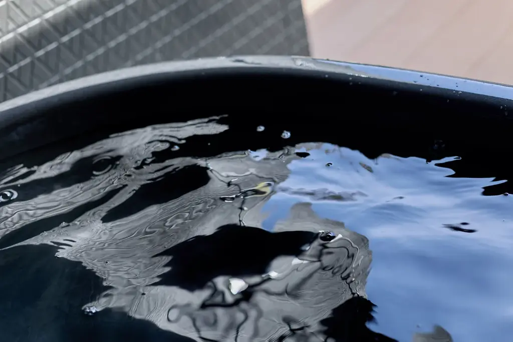 【最大20％OFF】大阪・泉佐野市の愛犬と泊まれる1棟貸切ヴィラ　「泉佐野キャンモアグランピングリゾート」が開業3周年キャンペーンを販売開始 画像 12