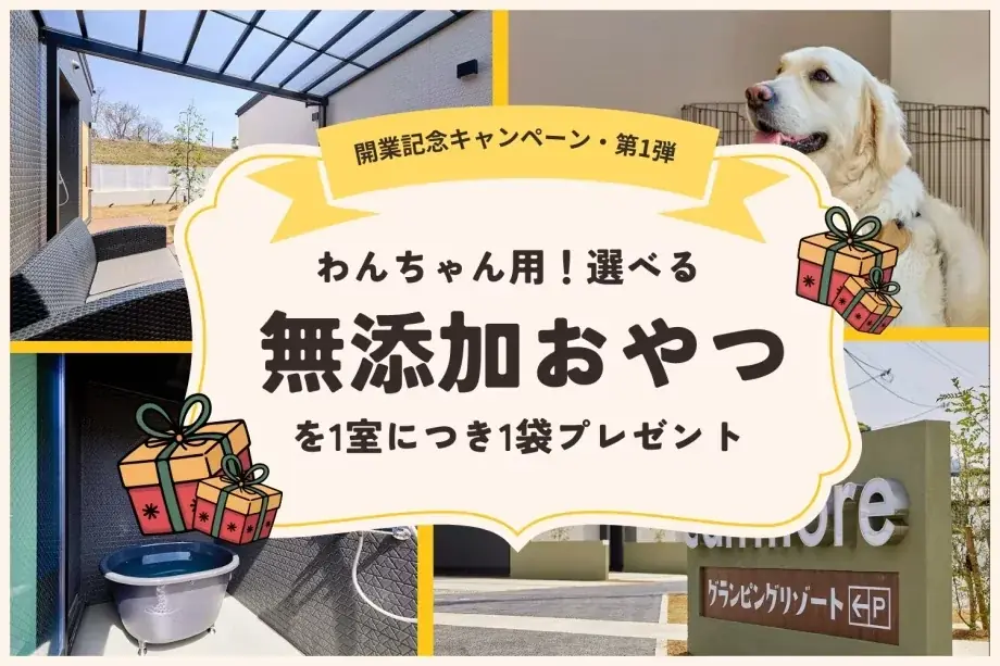 【最大20％OFF】大阪・泉佐野市の愛犬と泊まれる1棟貸切ヴィラ　「泉佐野キャンモアグランピングリゾート」が開業3周年キャンペーンを販売開始 画像 2