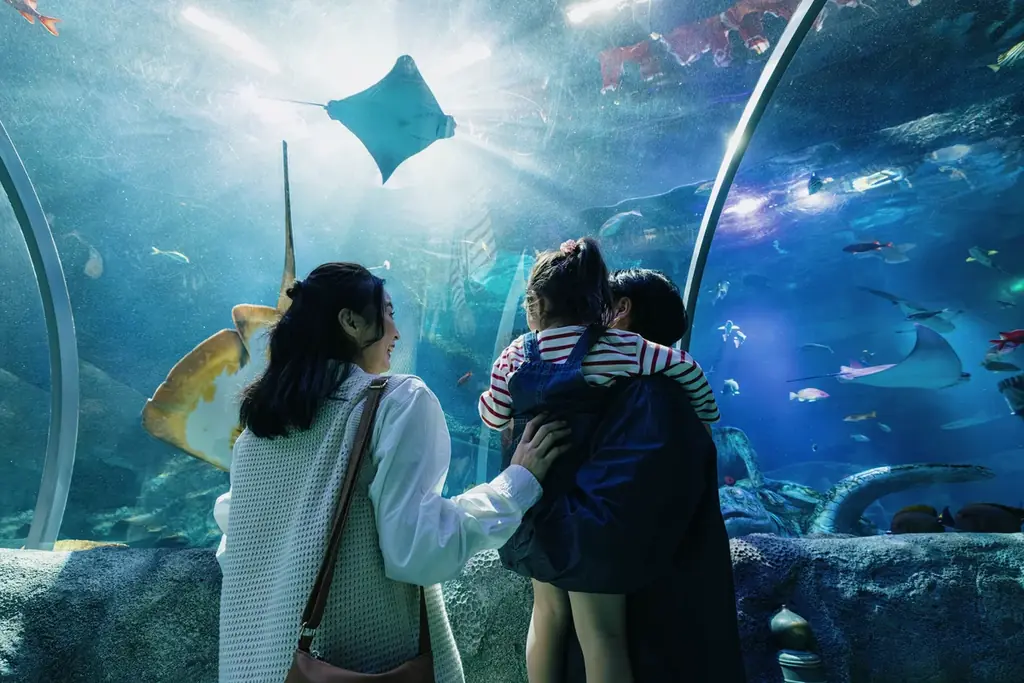 『あつまれ どうぶつの森』のゲームに登場するさまざまなアクティビティをリアルで体験！あつまれ どうぶつの森 × 名古屋シーライフ水族館　海の生きもの ふれあい展期間限定開催 画像 11