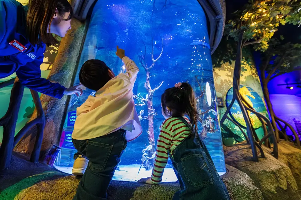 『あつまれ どうぶつの森』のゲームに登場するさまざまなアクティビティをリアルで体験！あつまれ どうぶつの森 × 名古屋シーライフ水族館　海の生きもの ふれあい展期間限定開催 画像 12