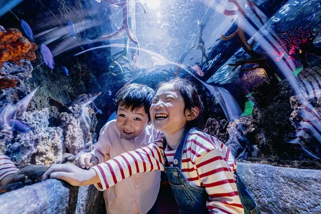 『あつまれ どうぶつの森』のゲームに登場するさまざまなアクティビティをリアルで体験！あつまれ どうぶつの森 × 名古屋シーライフ水族館　海の生きもの ふれあい展期間限定開催 画像 13