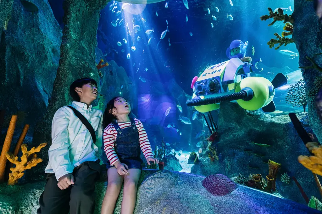 『あつまれ どうぶつの森』のゲームに登場するさまざまなアクティビティをリアルで体験！あつまれ どうぶつの森 × 名古屋シーライフ水族館　海の生きもの ふれあい展期間限定開催 画像 9