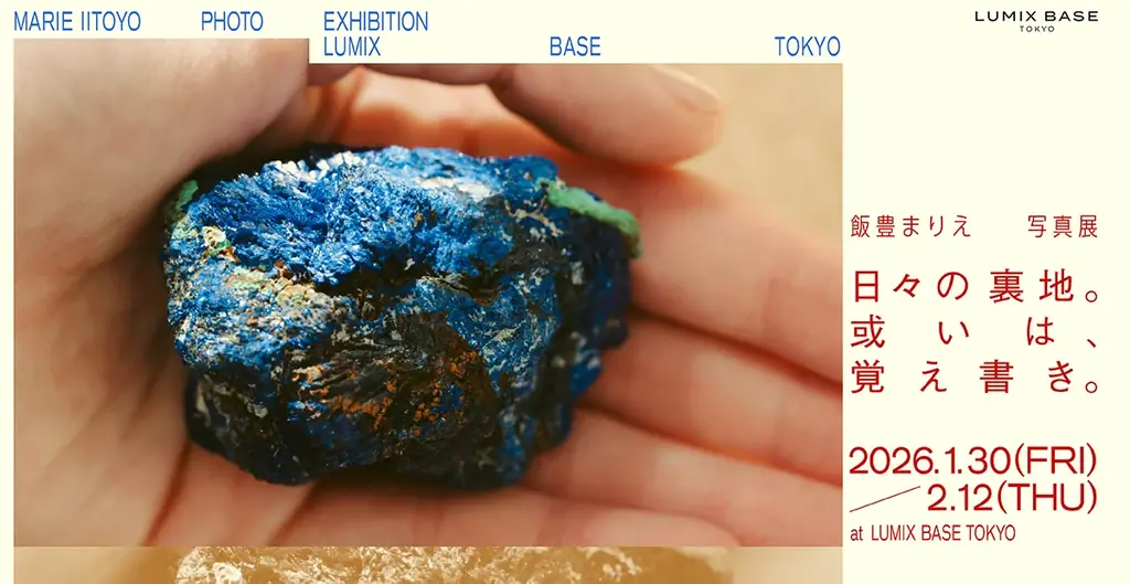 日々の裏地。或いは、覚え書き。