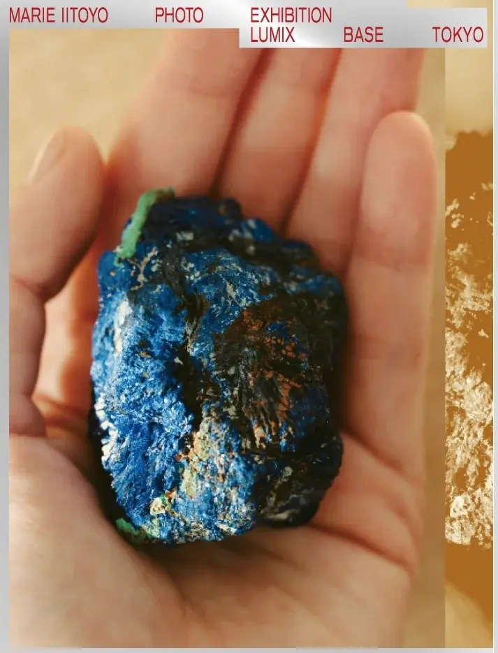 俳優・飯豊まりえさんがLUMIXで撮り下ろした初の写真展開催 画像 4