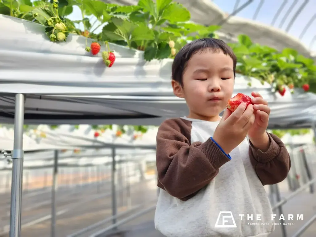 【3月平日限定】幼児（3歳〜未就学児）宿泊無料キャンペーン「ちびっこ応援プラン」販売開始。新学期前の平日に楽しむ、農園リゾートの春休み家族旅 画像 3