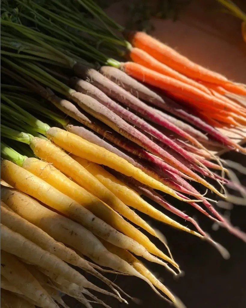 【＠横浜・たまプラーザ】2/25(水) 人気料理家・山戸ユカ氏の無農薬野菜プレート無料体験。「託児つき」北杜市PRイベントを開催！「八ヶ岳の循環する暮らし〜土・食・人のMeal Meeting」 画像 12