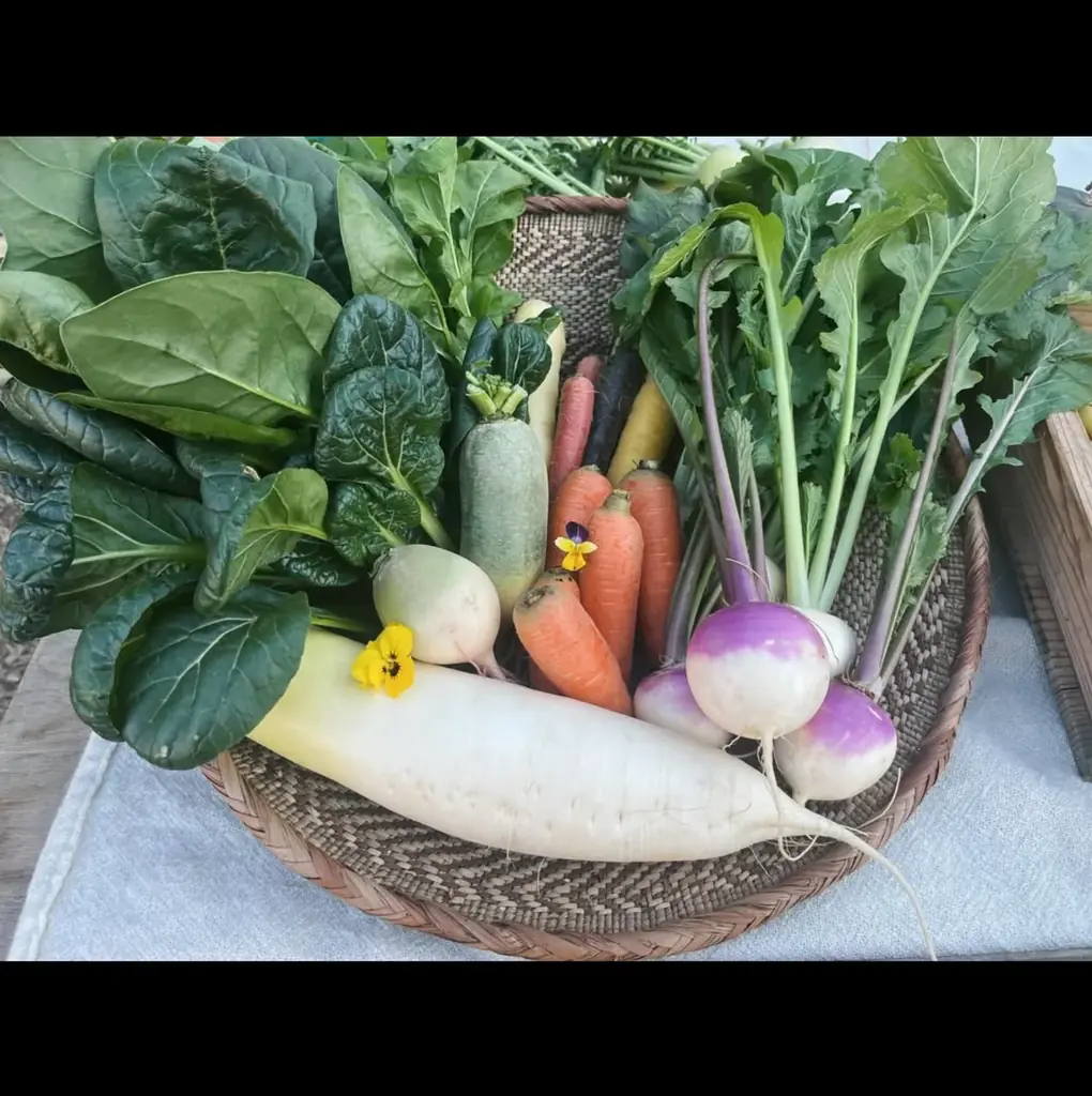 【＠横浜・たまプラーザ】2/25(水) 人気料理家・山戸ユカ氏の無農薬野菜プレート無料体験。「託児つき」北杜市PRイベントを開催！「八ヶ岳の循環する暮らし〜土・食・人のMeal Meeting」 画像 14