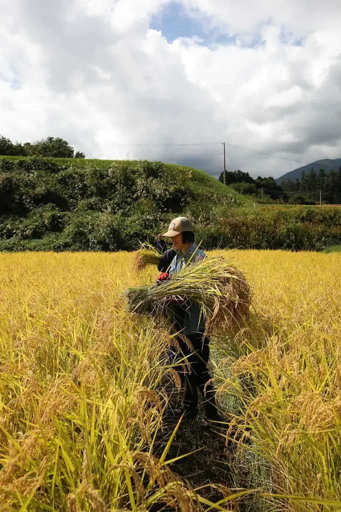 【＠横浜・たまプラーザ】2/25(水) 人気料理家・山戸ユカ氏の無農薬野菜プレート無料体験。「託児つき」北杜市PRイベントを開催！「八ヶ岳の循環する暮らし〜土・食・人のMeal Meeting」 画像 4