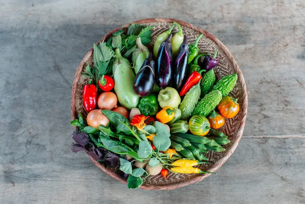 【＠横浜・たまプラーザ】2/25(水) 人気料理家・山戸ユカ氏の無農薬野菜プレート無料体験。「託児つき」北杜市PRイベントを開催！「八ヶ岳の循環する暮らし〜土・食・人のMeal Meeting」 画像 9