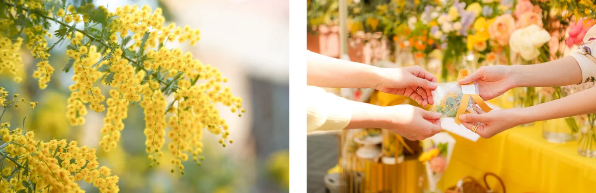 ⾃分を⼤切にする、チッタの春時間　MIMOSA FESTA 2026 in KAWASAKI 開催決定︕　川崎の街から広がる、⼥性が⾃分らしく咲ける社会 画像 7