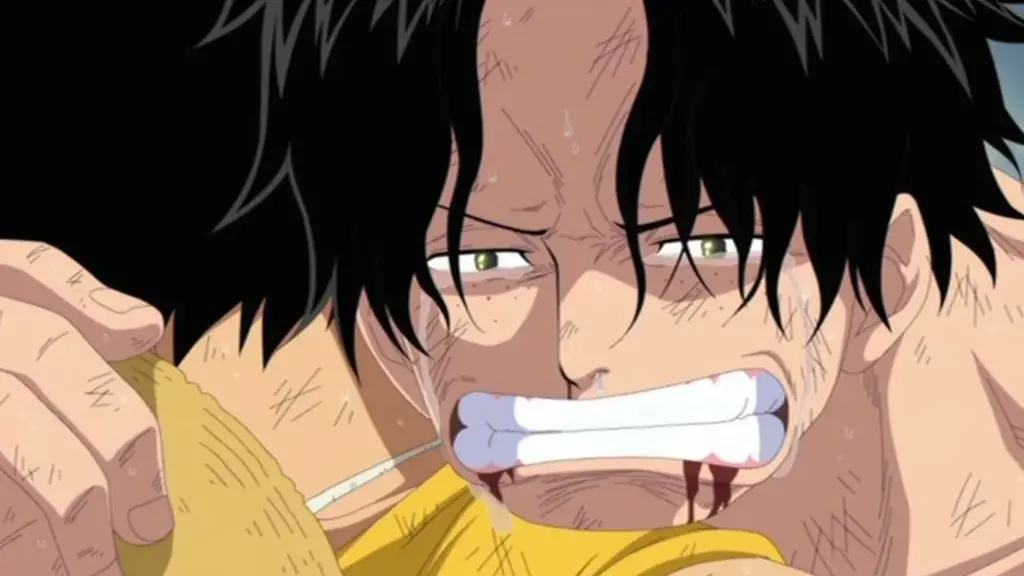 TVアニメ「ワンピース」チャンネルが「ABEMA」に初開設決定！“TVアニメ1155話”を1月22日（木）から毎日無料配信！ 画像 5