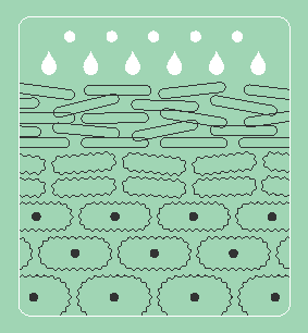 美肌力、起動*1。全方位型、新・薬用導入美容液がクリニークから登場。 画像 3