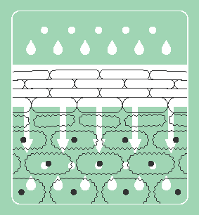 美肌力、起動*1。全方位型、新・薬用導入美容液がクリニークから登場。 画像 4
