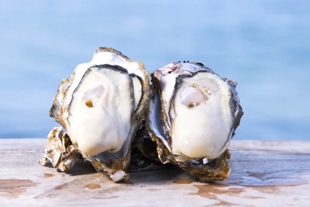 冬の旨みを堪能する本格スペイン美食「SPANISH DINING Rico」が銀座三越に期間限定で出店 画像 1