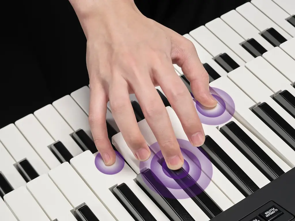 エレクトーン®のフラッグシップシリーズを刷新　『ELS-03シリーズ』 画像 4