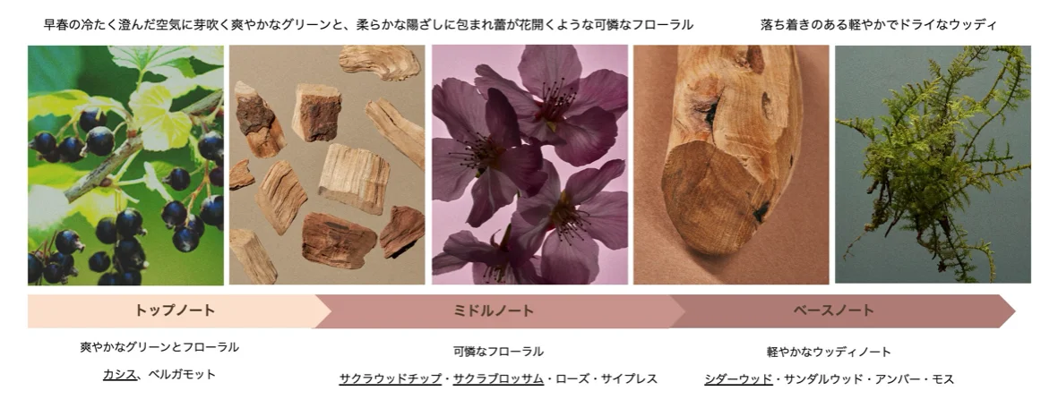 BAUM、「サクラツリー」オードトワレとハンドウォッシュが数量限定で登場 画像 2