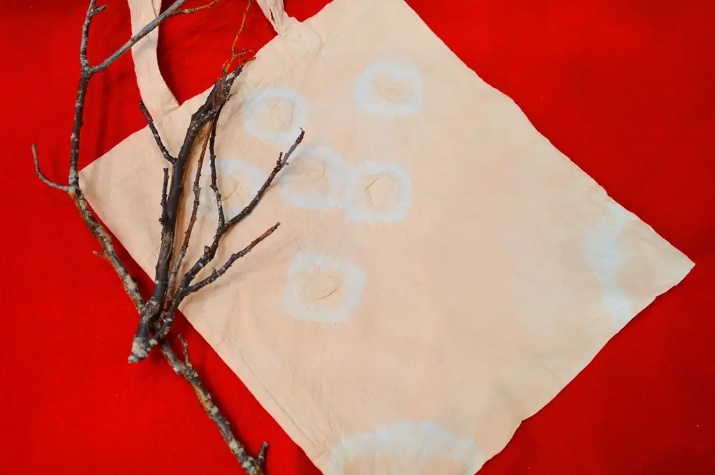 【入園無料】例年よりも早い「梅」の開花！関東最多級の名所・約300品種500本「梅まつり」2026年1月24日（土）より開催（小田原フラワーガーデン） 画像 10