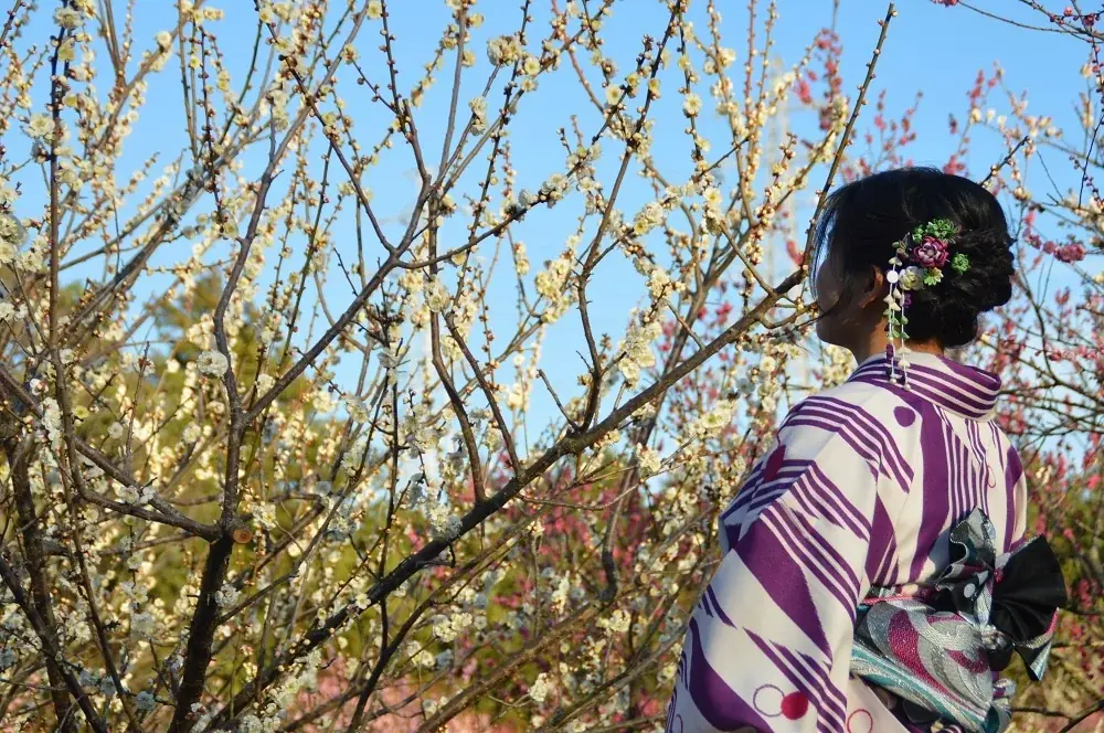 【入園無料】例年よりも早い「梅」の開花！関東最多級の名所・約300品種500本「梅まつり」2026年1月24日（土）より開催（小田原フラワーガーデン） 画像 12