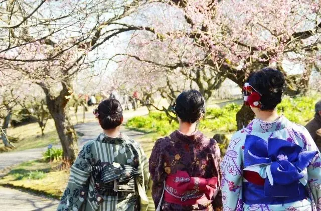 【入園無料】例年よりも早い「梅」の開花！関東最多級の名所・約300品種500本「梅まつり」2026年1月24日（土）より開催（小田原フラワーガーデン） 画像 5