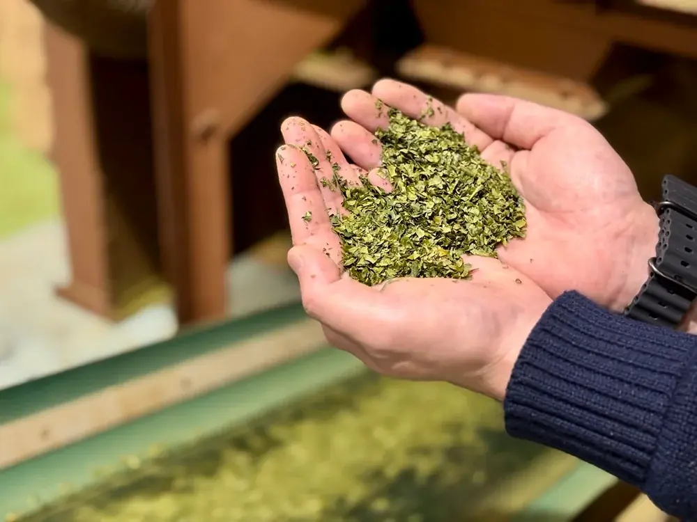 BAKE INC.のスイーツWebメディアが“地域の魅力”を取り入れたスイーツをお届け｜『ひとくちのふうけい』第2弾！島根県“出雲抹茶”を使った焼き菓子 画像 3