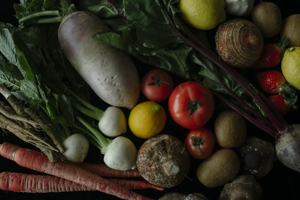 糸島リニューアル開業