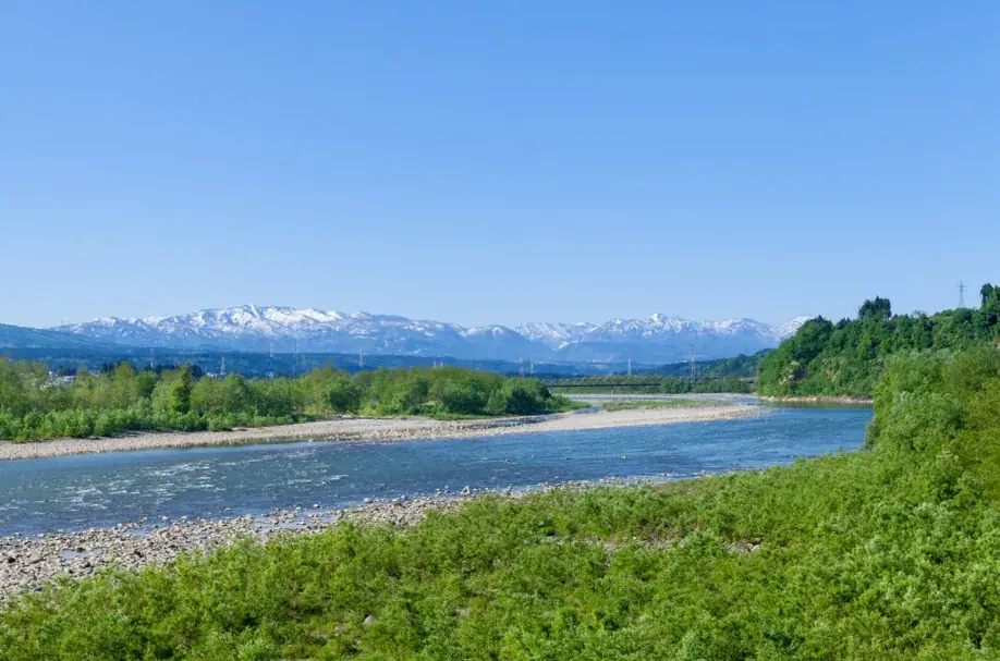 ～米粉スイーツのハイエンドシリーズ～「TOIRO PREMIUM KOMEKO」始動！第一弾「FRUITS SNOWBALL」2026年1月29日発売 画像 5