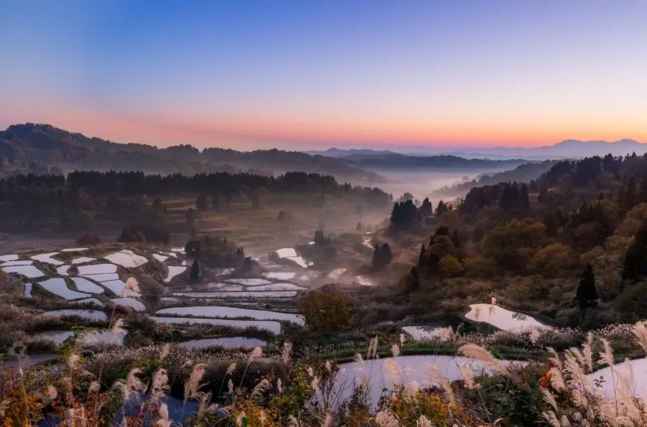 ～米粉スイーツのハイエンドシリーズ～「TOIRO PREMIUM KOMEKO」始動！第一弾「FRUITS SNOWBALL」2026年1月29日発売 画像 9