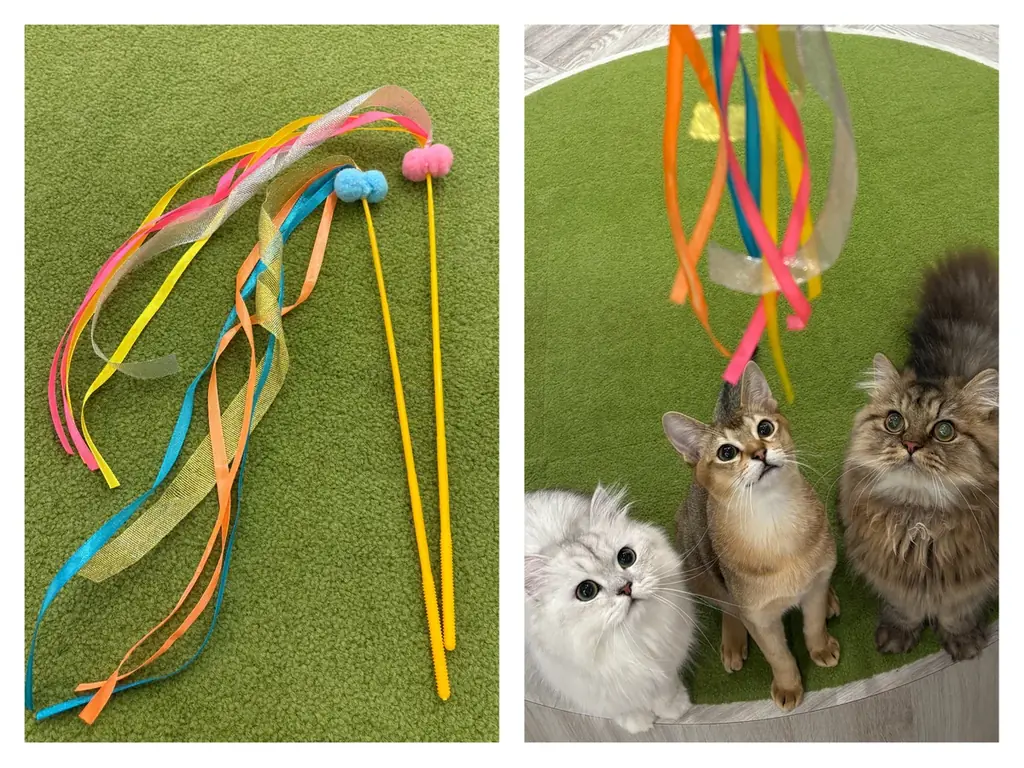 「猫の日」に合わせて待望の初コラボが決定！PAUL & JOE ACCESSOIRES(ポール & ジョー アクセソワ)やNO COFFEEとの限定グッズが登場！「MOCHAにゃんフェス2026」 画像 4