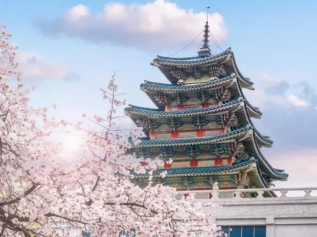 「人生が変わるソウル留学」キャンペーンを開始 画像 2