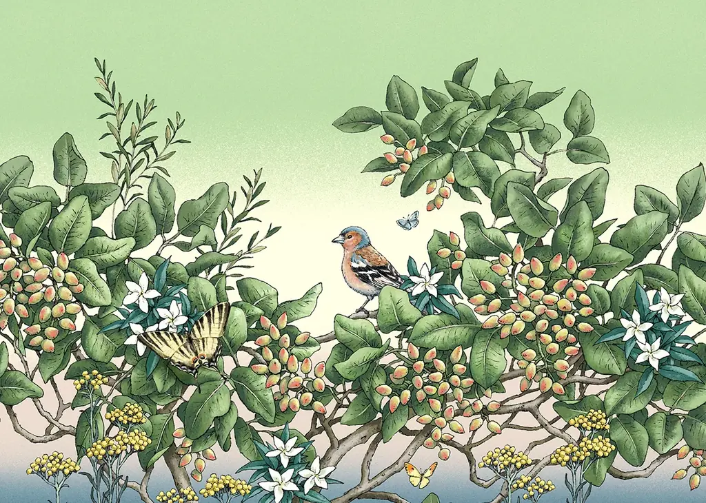 ピスタチオ好き必見！ピスタチオスイーツ専門店「MAX PISTACHIO」待望の新商品発売＆都内2箇所で期間限定出店 画像 7