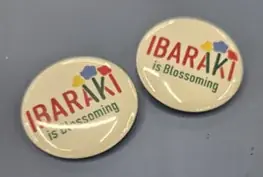 茨城県庁25階展望ロビーが“猫猫＆壬氏のフォト空間”に！TVアニメ『薬屋のひとりごと』コラボフォトスポット登場 画像 3