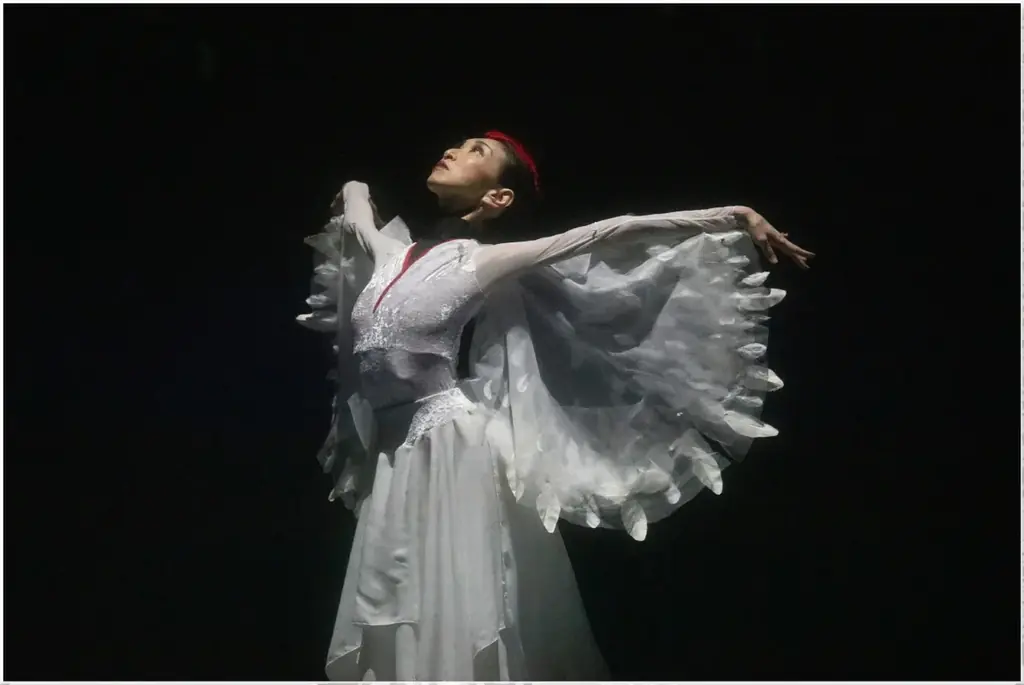 クラッシックバレエ初めての方にもおすすめ！万博オープニングや海外でも上演したオリジナル作品『鶴の恩返し』や「白鳥の湖」などの名場面を中心に構成　針山愛美プロデュース公演『One heart』上演決定 画像 2