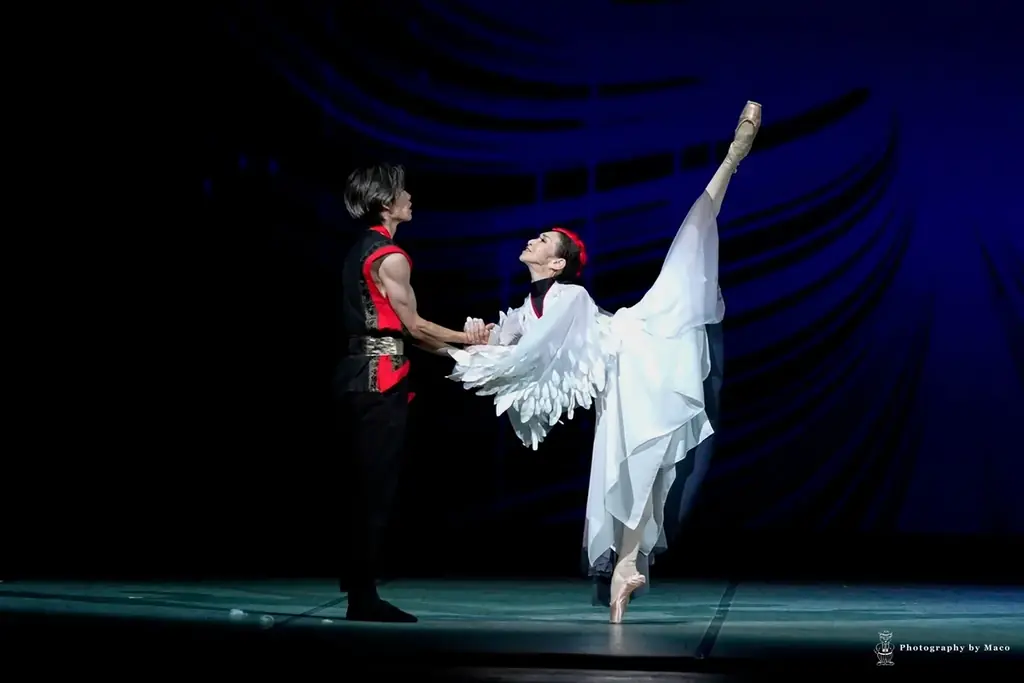 クラッシックバレエ初めての方にもおすすめ！万博オープニングや海外でも上演したオリジナル作品『鶴の恩返し』や「白鳥の湖」などの名場面を中心に構成　針山愛美プロデュース公演『One heart』上演決定 画像 4